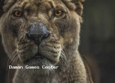 Epic Archery: Indian Legends download statistics graph